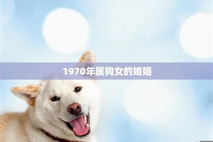 1970年属狗婚姻命运