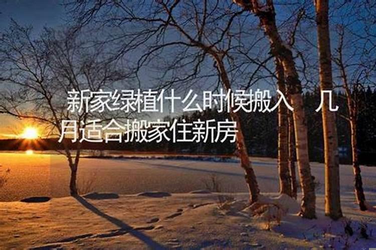 什么时间适合搬入新房