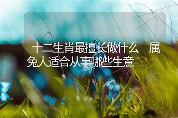 十二生肖最擅长做什么