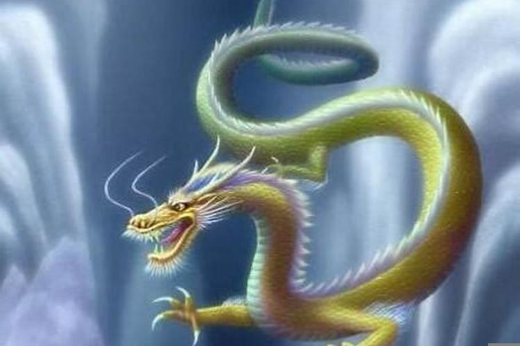 孕妇梦见好多龙在水里游