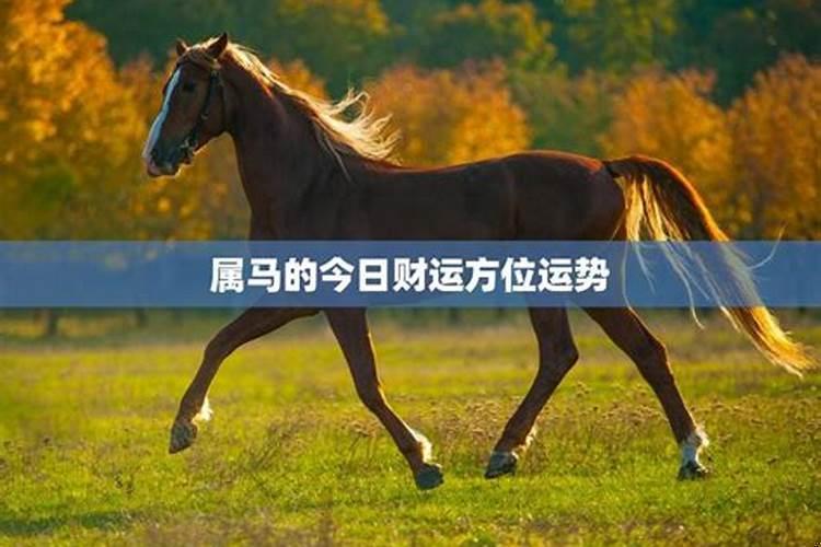 属马人今天的运势如何