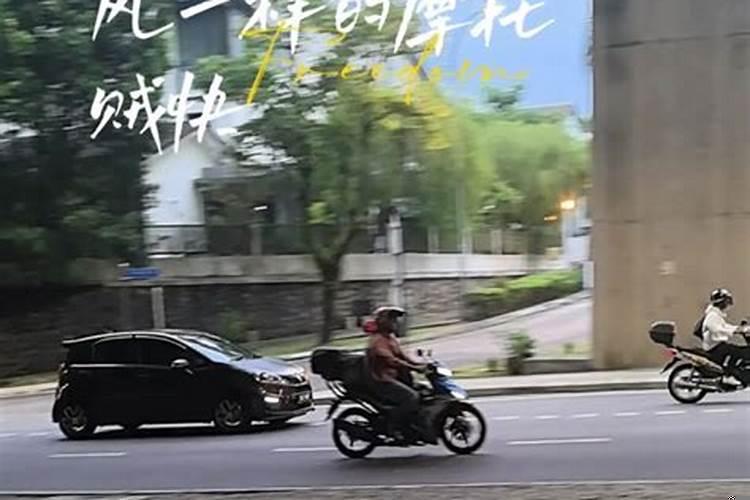 太岁的生活环境