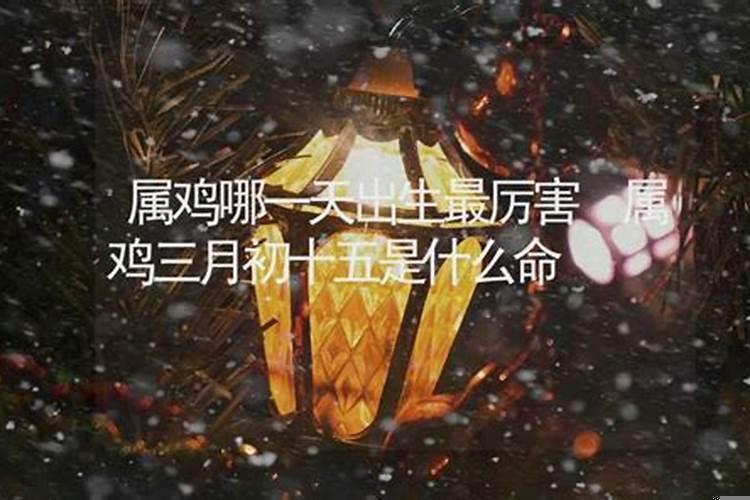 属鸡哪一天出生最厉害