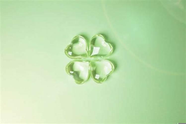 72年的鼠的命运