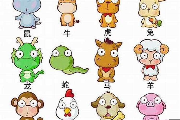 十二生肖哪个属相命最不好