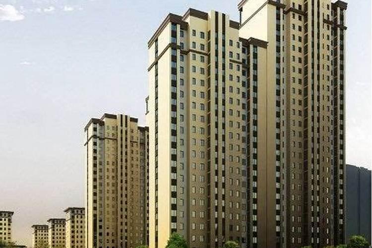 楼层总共18层哪层最好