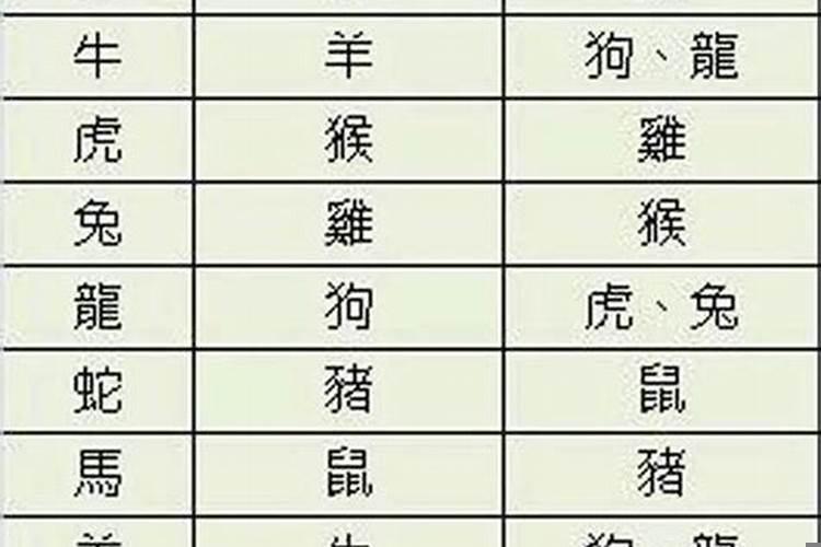 相生相克什么生肖