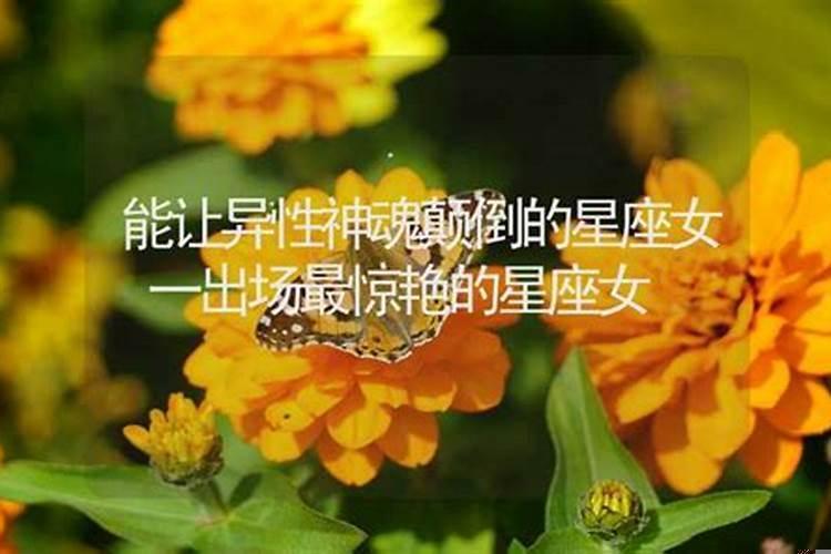 让男人丢魂的女人