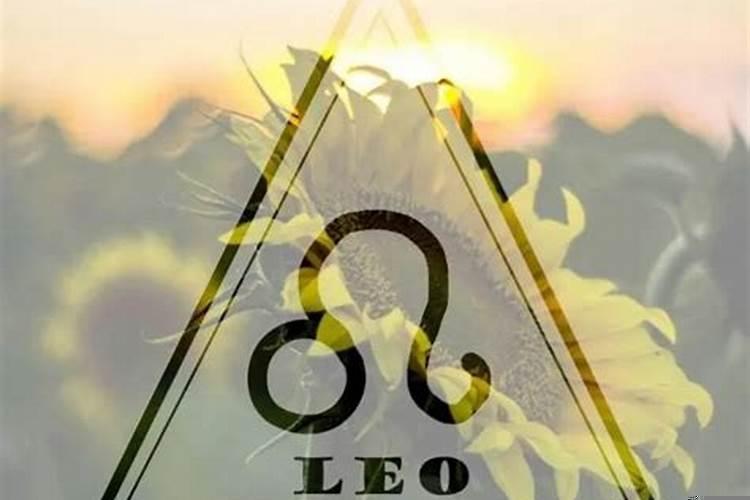 12星座爱情深度解析