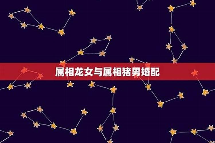 属相龙男和属相猪女