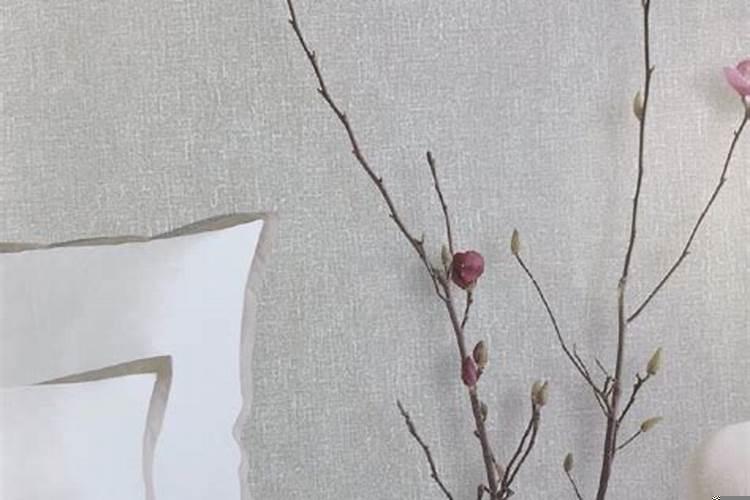 火命的人用什么颜色比较好