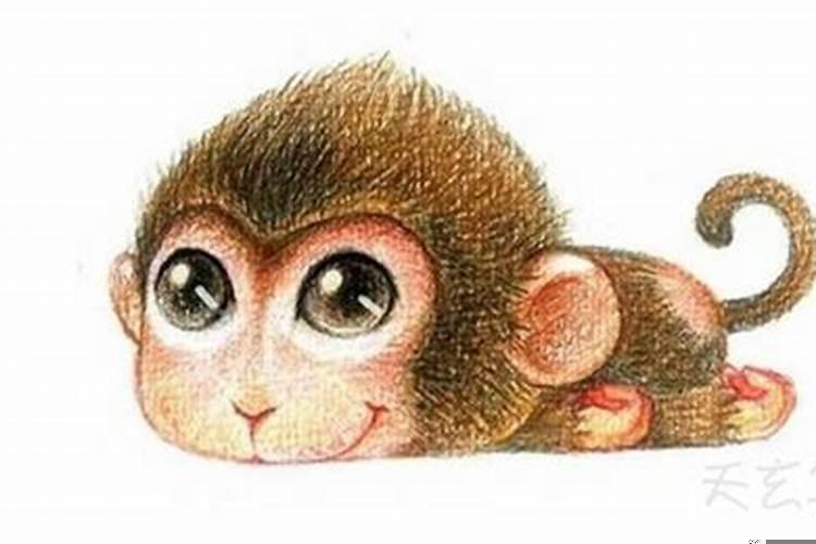 肖鼠的桃花姻缘是什么生肖