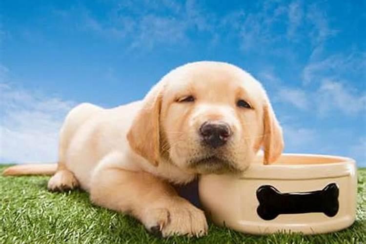 梦到自己走入困境走不了