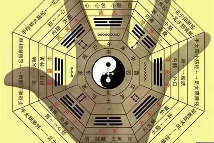 怎样选择吉他的大小型号