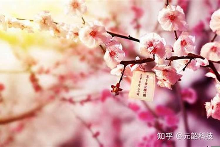 斩烂桃花的方法