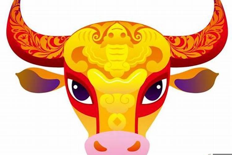 女属牛婚姻配属什么最佳