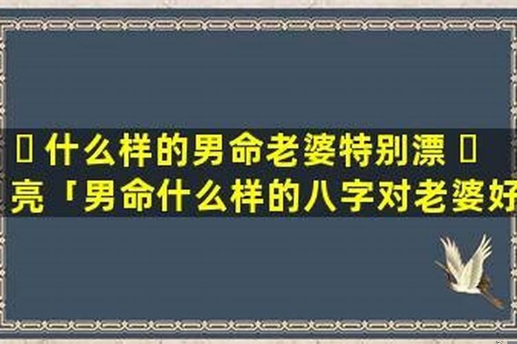 正财旺的男人爱老婆吗