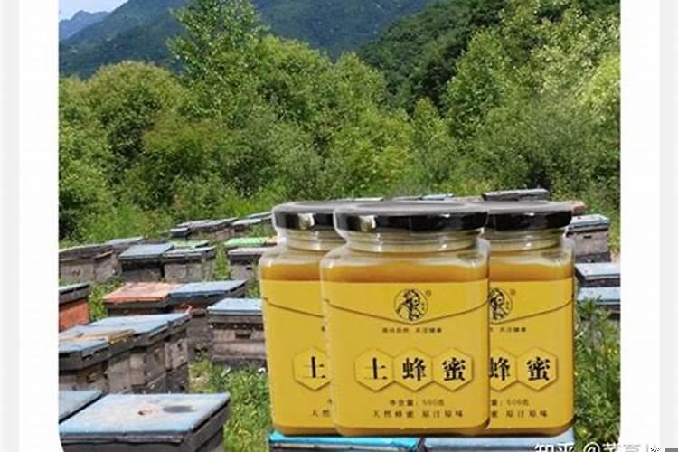 做梦梦见蜂蜜有什么征兆吗