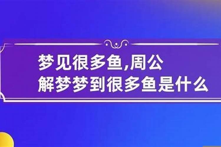 梦见好多鱼和虾爬到床上什么意思