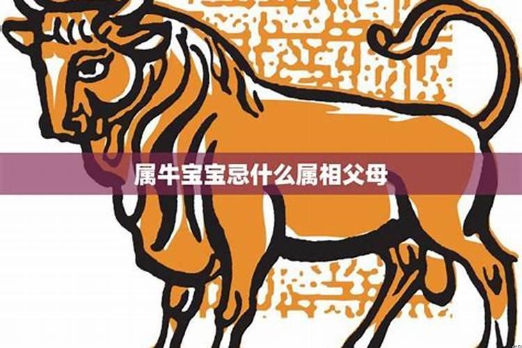 属牛人忌讳什么属相