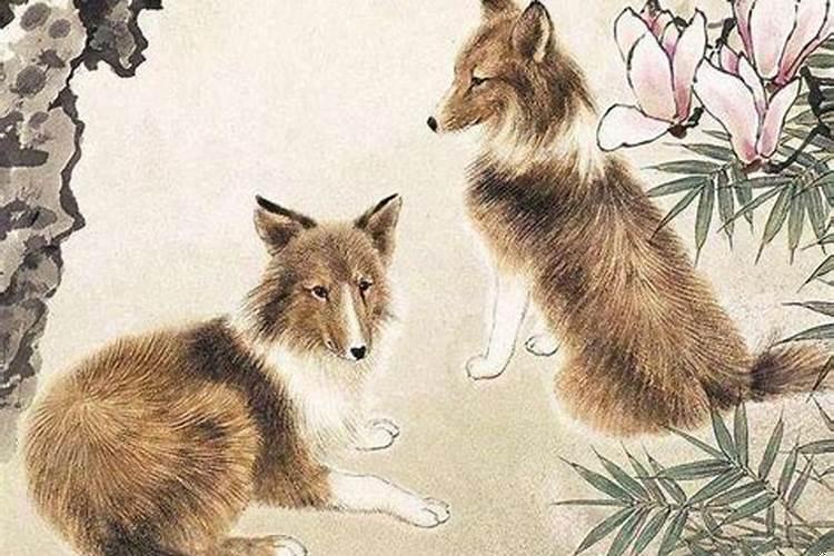 属狗几月生命苦