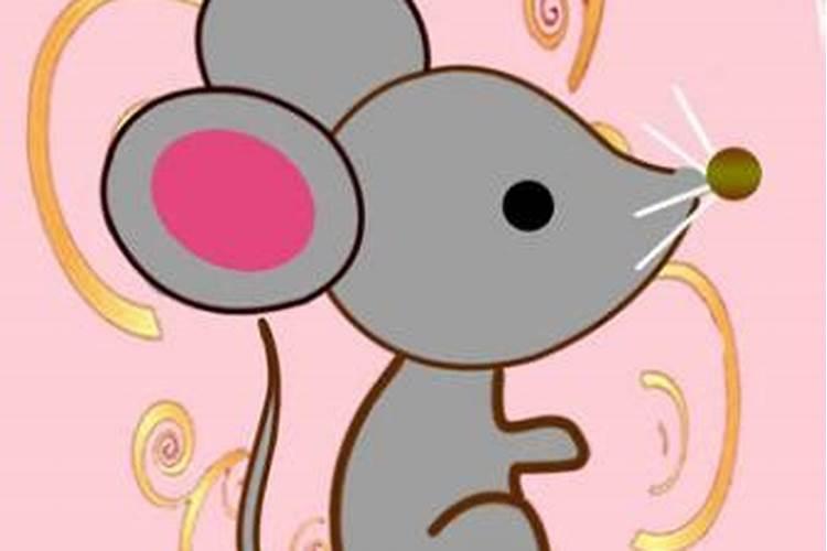 运气好的生肖女