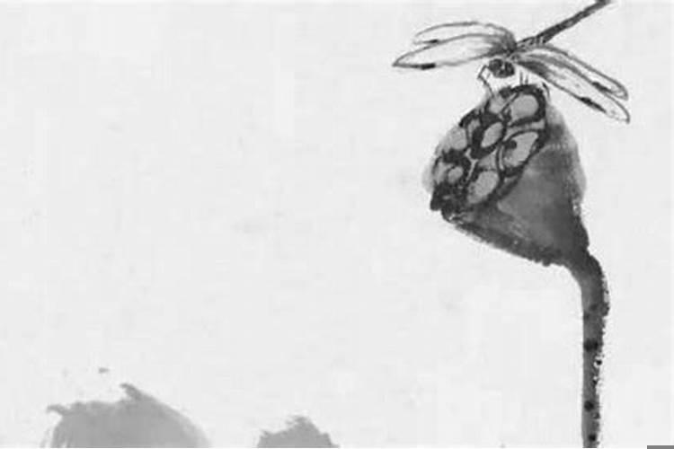 正月二十二出生的男孩的命运