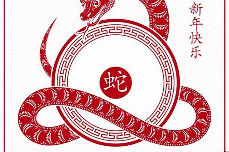 2025年属什么生肖属相