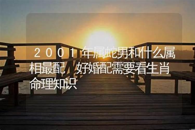 2001年和什么属相最配