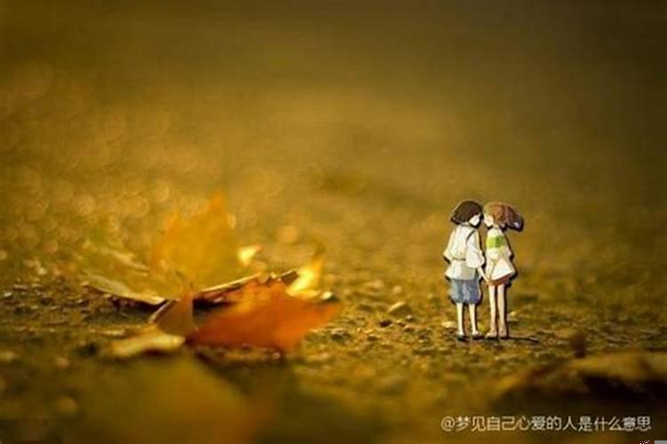 梦见我爱的人回来了