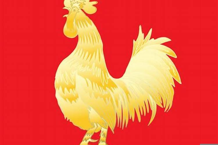 1969年属鸡人今年多少岁