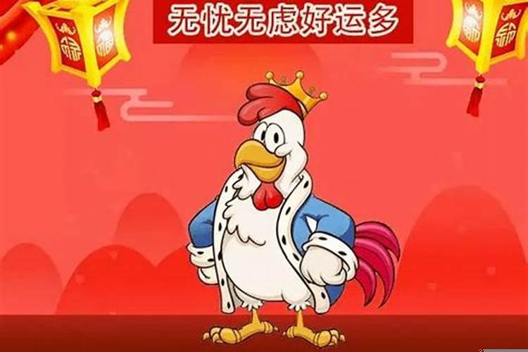 生肖看财运准吗