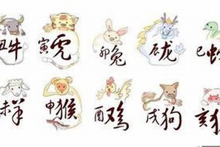 十二生肖富商是哪一个