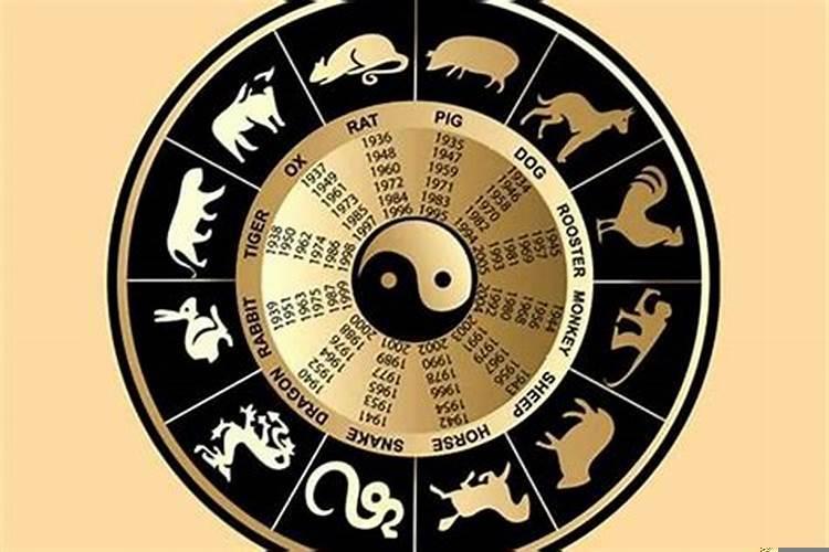 八字星座都不合