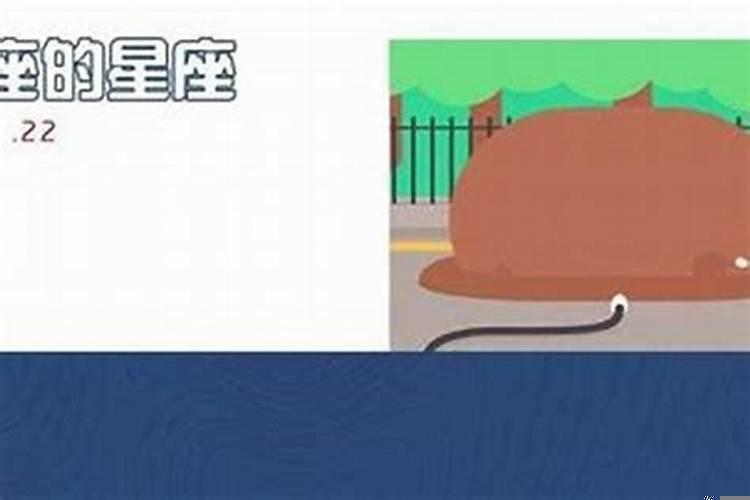 如果你是天蝎的备胎