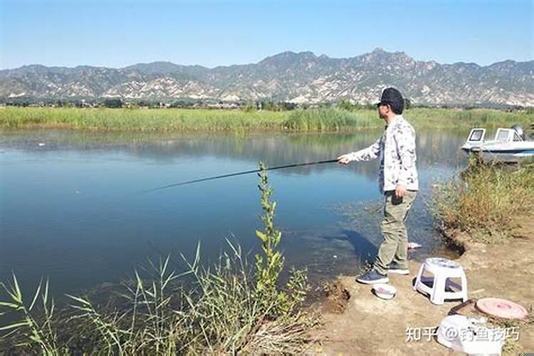 农历什么日子好钓鱼?