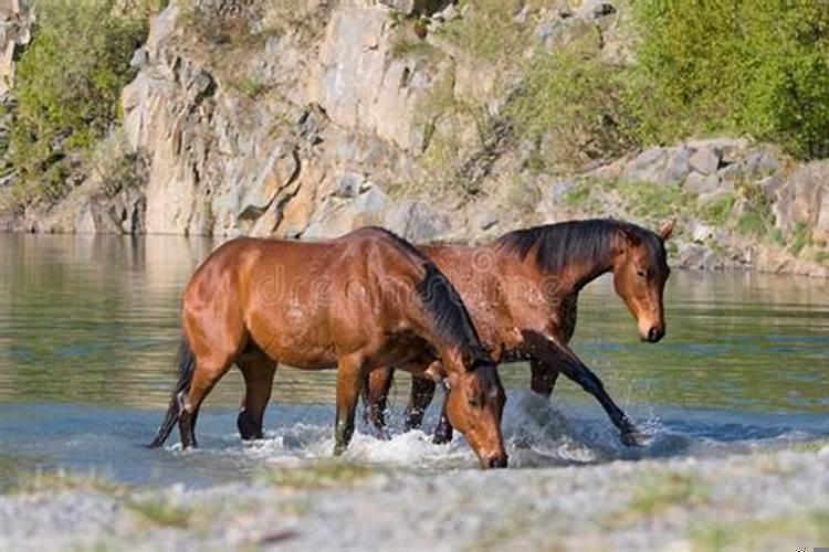 梦见好多人在水里游来游去
