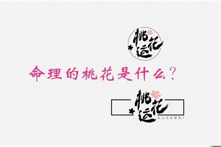 算命的说我是桃花命什么意思?