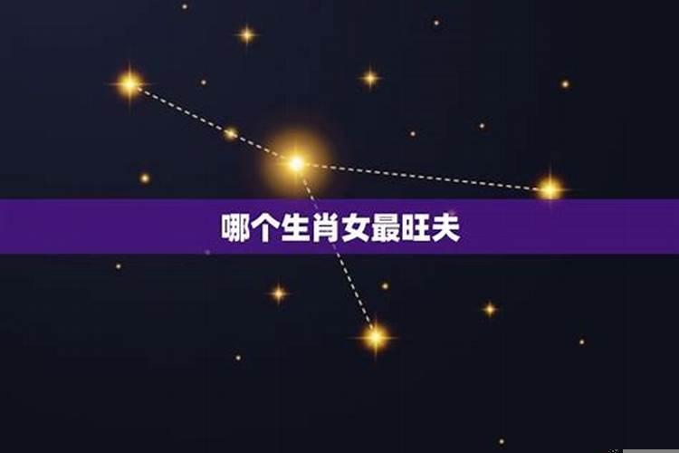 十二生肖谁最旺夫