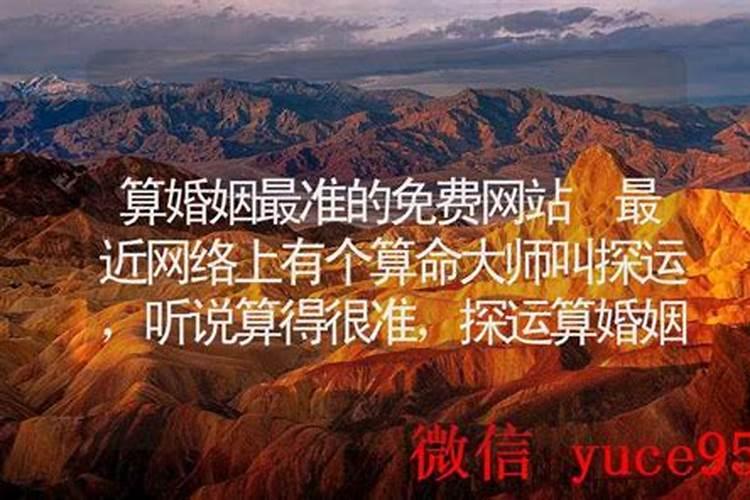 算命大师的八字