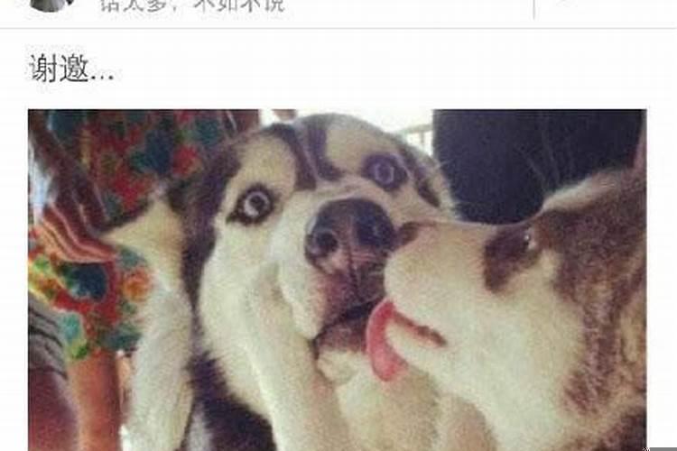 被强吻了是什么感觉