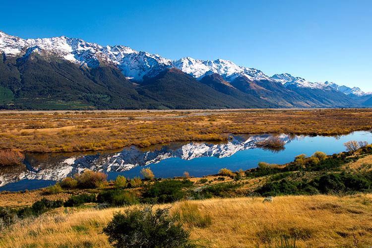 2025年一月出生属什么