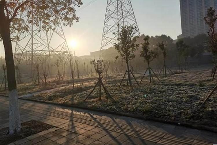 梦境是个很奇妙的东西