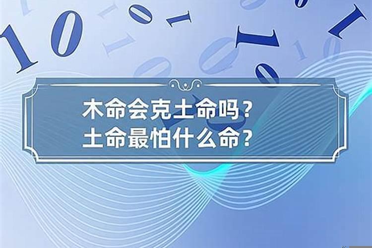土命和土命的人合作生意可以吗