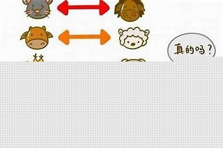 婚配属相相克怎么办