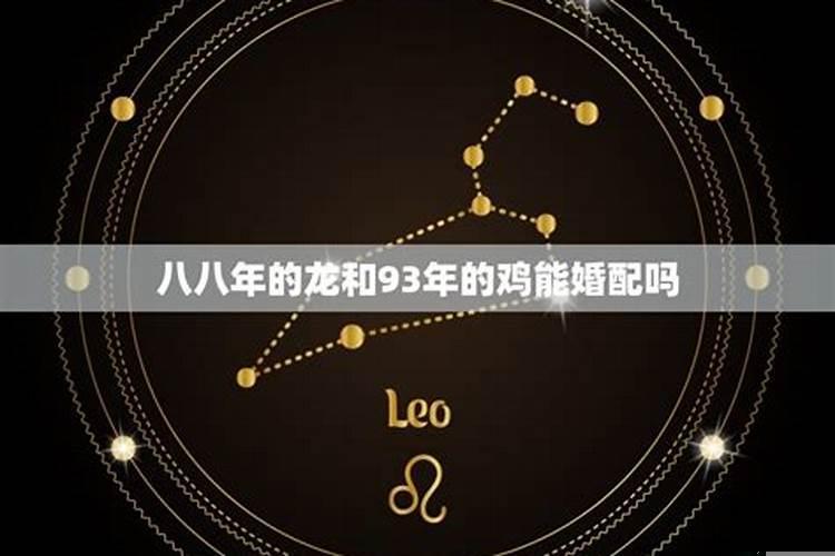 八八年男龙和九三年的女鸡相配吗?