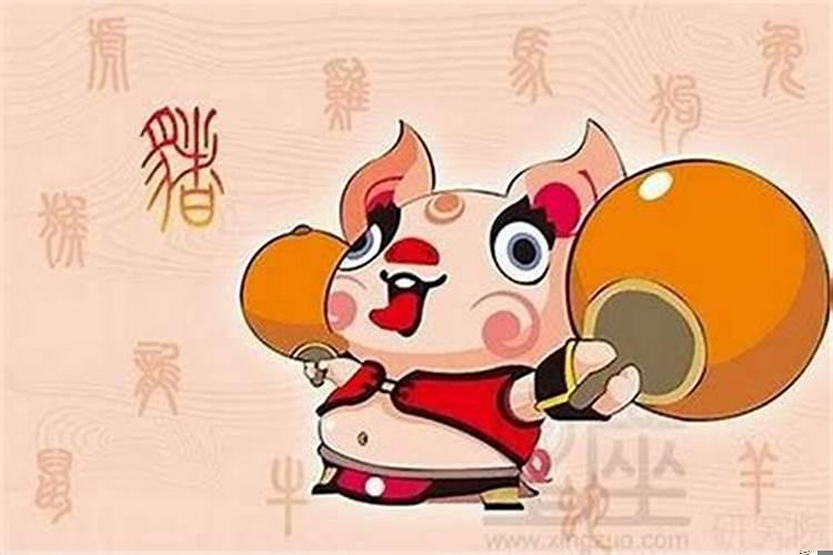 属猪女人一生的命运