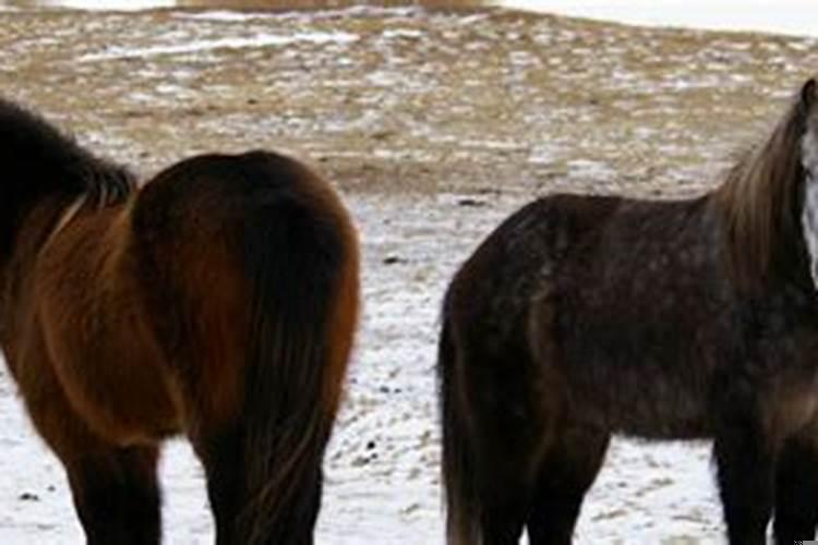 32岁属龙今年怎么样