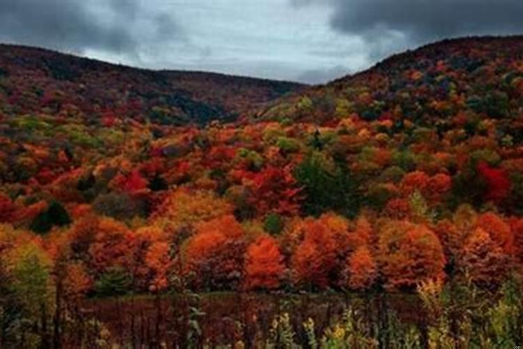 96年属鼠十月份什么命