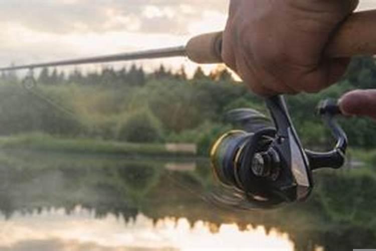 农历什么日子好钓鱼?